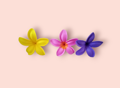 Plumeria sei (Large)